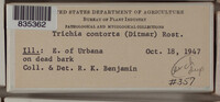 Image Associated With the Occurence